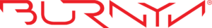 Burnyn Logo-05